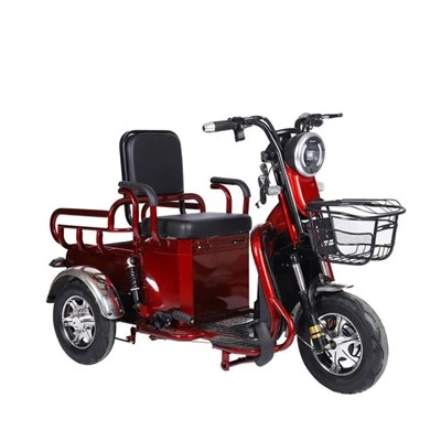 Yardımcı Elektrikli Kargo Üç Tekerlekli Bisikleti