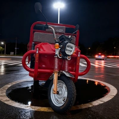 Ticari Elektrikli Kargo Üç Tekerlekli Bisiklet