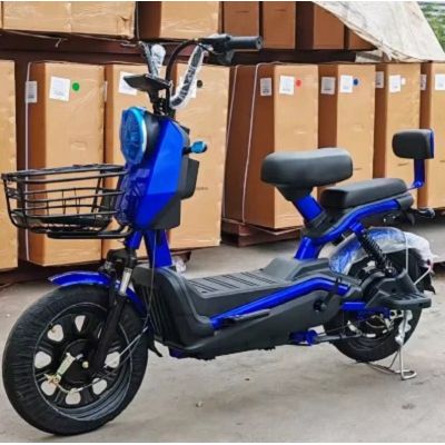 OEM Özel Katlanır Elektrikli Bisiklet